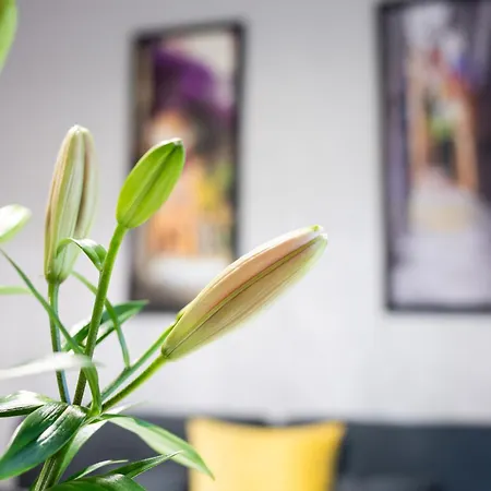 Apartment Native Slowackiego 14i6 *